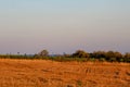 The beauty of Bulgarian nature. Endless vineyards and harvested wheat