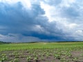 The beauty of Bulgarian nature, forests, plains, vineyards, endless fields of golden wheat and sunflower, blue sky and mystical cl Royalty Free Stock Photo