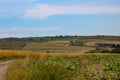 The beauty of Bulgarian nature, forests, plains, vineyards, endless fields of golden wheat and sunflower, blue sky and mystical cl Royalty Free Stock Photo