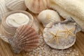 Spa still life - beauty care and shells