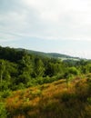 Beauty of central Kashubia in Poland. Forest and mountain landscape