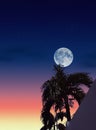 the beauty of the charm of the night in the sky and the moon Royalty Free Stock Photo