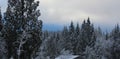 The Beauty of a Classic Canadian Winter