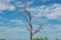 The beauty of the clouds and trees , Kaeng Krachan dam at Petchaburi Royalty Free Stock Photo