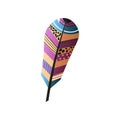 Beauty colorful bird feather in different color ornament