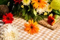 The beauty of colorful gerbera flowers in summer.