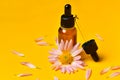 Beauty concept of glass bottle and pipette of organic essential oil on yellow background with pink tenderness flower and petals Royalty Free Stock Photo