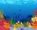 Beauty corals with underwater view background