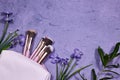 Beauty cosmetic makeup product layout. Fashion woman make up brushes with geranium flowers. Stylish design background Royalty Free Stock Photo