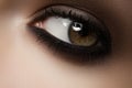Beauty cosmetics. Macro fashion smoky eyes make-up