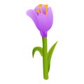 Beauty crocus icon, cartoon style