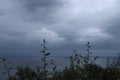 Dark Clouds, Grey Water, Green Plants Royalty Free Stock Photo