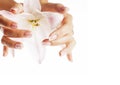 Beauty delicate hands with manicure holding flower lily Royalty Free Stock Photo