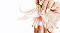 Beauty delicate hands with manicure holding flower lily close up isolated Royalty Free Stock Photo