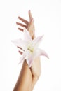 Beauty delicate hands with manicure holding flower lily close up isolated Royalty Free Stock Photo