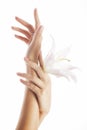 Beauty delicate hands with manicure holding flower lily close up isolated Royalty Free Stock Photo