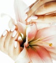 Beauty delicate hands with manicure holding flower lily close up isolated on white Royalty Free Stock Photo