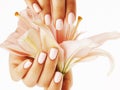 Beauty delicate hands with manicure holding flower lily close up isolated on white Royalty Free Stock Photo