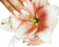 Beauty delicate hands with manicure holding flower lily close up isolated on white, spa concept Royalty Free Stock Photo