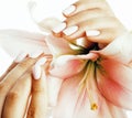 Beauty delicate hands with manicure holding flower lily close up isolated on white, spa salon concept Royalty Free Stock Photo