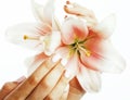 Beauty delicate hands with manicure holding flower lily close up isolated on white, spa salon concept Royalty Free Stock Photo