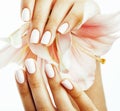 Beauty delicate hands with manicure holding flower lily close up isolated on white, spa salon concept Royalty Free Stock Photo