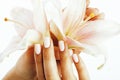 Beauty delicate hands with manicure holding flower lily close up isolated on white, spa salon concept Royalty Free Stock Photo