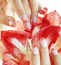 Beauty delicate hands with pink Ombre design manicure holding flower amaryllis close up isolated warm macro Royalty Free Stock Photo