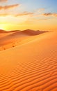 Beauty of a desert landscape bathed in the warm, golden light of the sun.