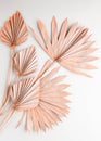 Beauty dried palm leaves on pastel grey background. Nature tropical concept, copy space, flat lay