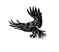 Beauty Eagle Flying Silhouette Royalty Free Stock Photo
