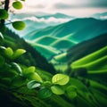 The beauty of earthly spaces: spring greens. Photo style Royalty Free Stock Photo