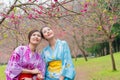 Beauty elegant female travelers looking at sakura Royalty Free Stock Photo