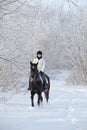 Beauty girl riding her horse through snow fields Royalty Free Stock Photo