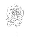 Beauty face with flower rose line drawing art. Abstract minimal portrait continuous line.