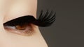 Beauty face makeup. Make up. Eyelashes extensions. Perfect Make- Royalty Free Stock Photo