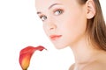 Beauty face of the young beautiful woman with flower. Royalty Free Stock Photo