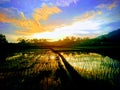 The beauty of farmland with hills and sunrises