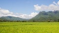 Beauty of the farmland in the mountains