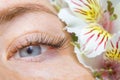 Beauty and fashion concept - Eyelash Extension Procedures. girl with blue eyes Long artificial Eyelashes and white flower Royalty Free Stock Photo