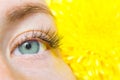 Beauty and fashion concept - Eyelash Extension Procedures. girl with green eyes Long artificial Eyelashes and yellow flower. Mock- Royalty Free Stock Photo