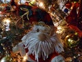 Beauty felt Santa with Christmas tree branches and light Royalty Free Stock Photo