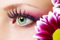 Beauty female eye Makeup