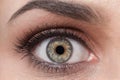 Beauty female greenish eye with long eyelashes and make-up - mac Royalty Free Stock Photo