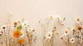 beauty flora flower background minimalist