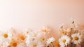 beauty flora flower background minimalist