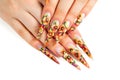 Beauty floral design nails. Royalty Free Stock Photo