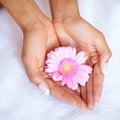 Beauty, flower and spa with hands of woman for skincare, wellness and natural cosmetics. Spring, peace and floral with