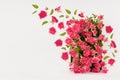 Beauty fresh pink roses as decorative arch with soar buds and green leaves as flow on white scene mockup for display cosmetics.