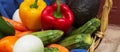 Savor the Flavor: Organic Vegetables at their Peak
